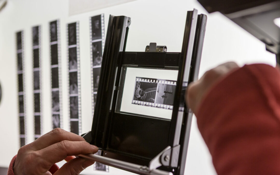 Cycle 4 – Accompagnement