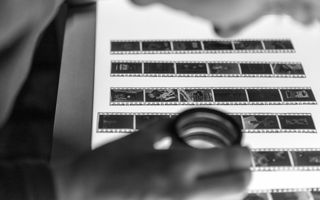 Cycle 1 – Développement