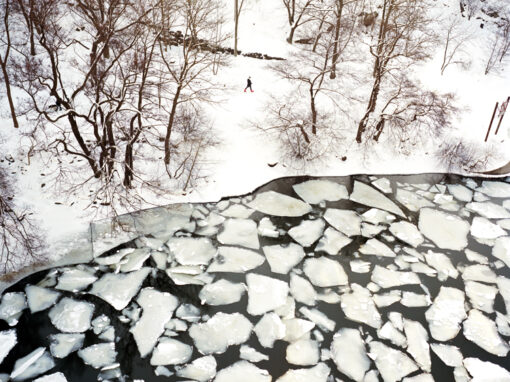 CARNETS D&rsquo;EUROPE