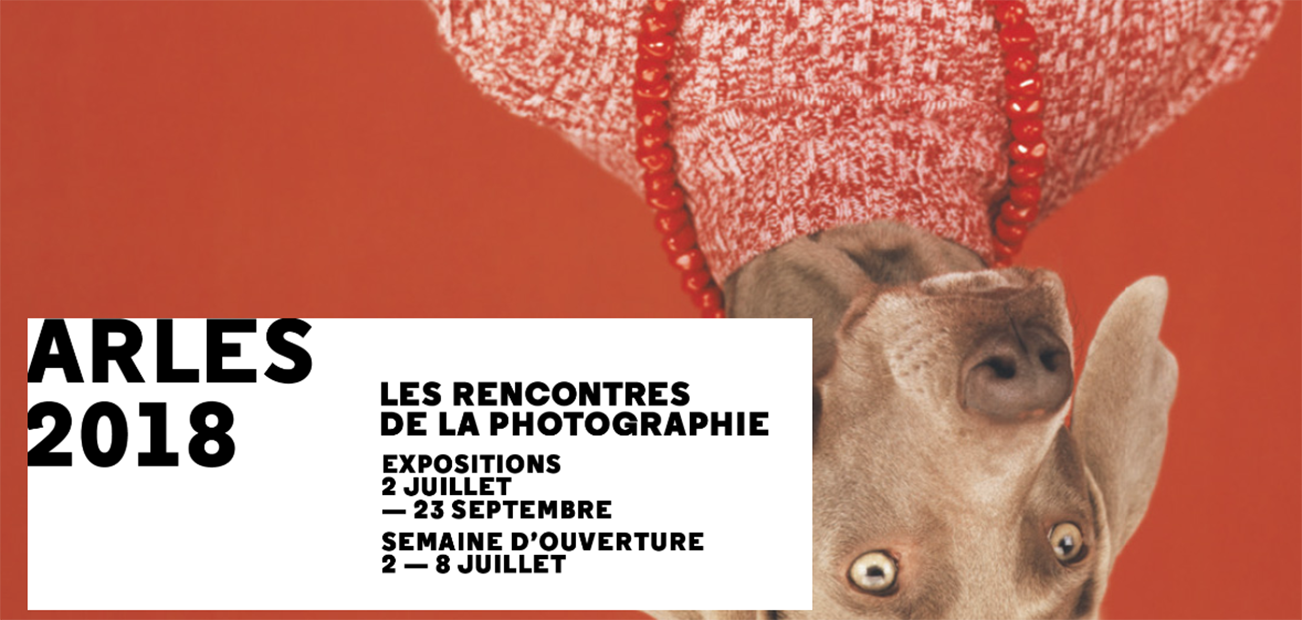 Les Chroniques de l’appareil photo #17