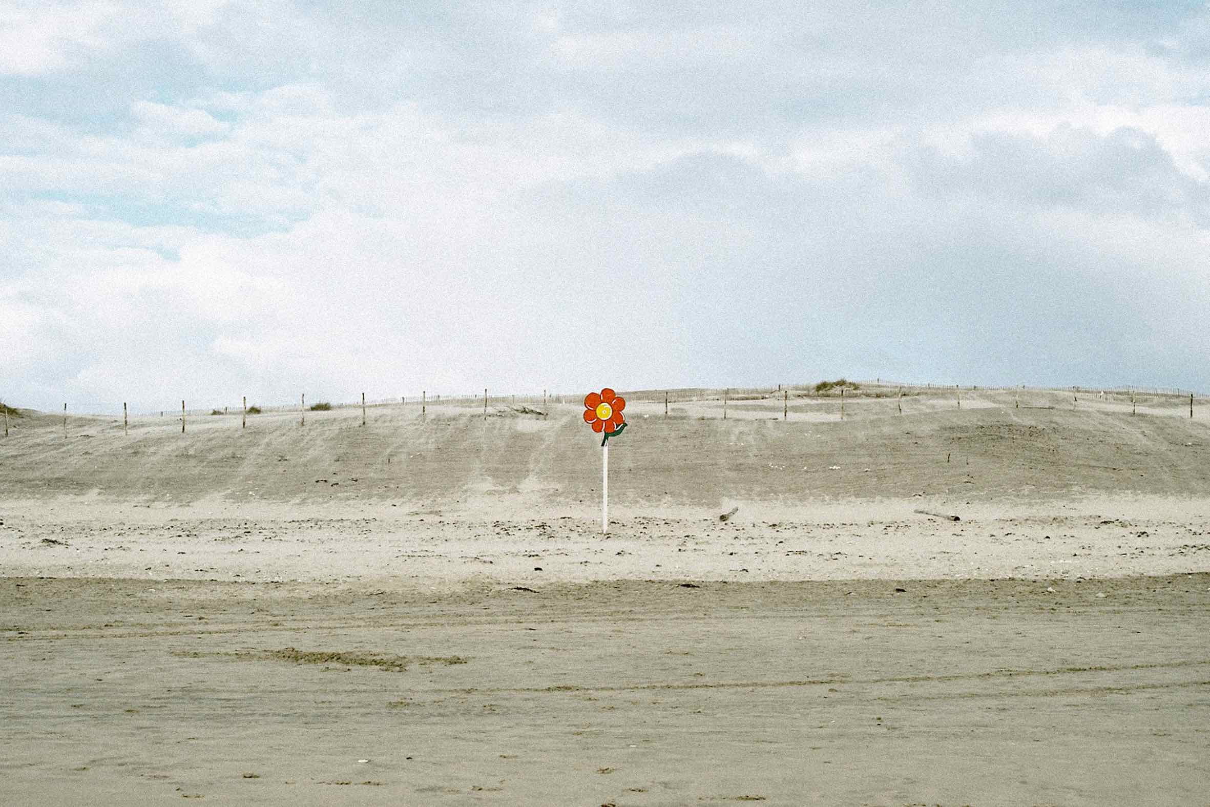 25 2