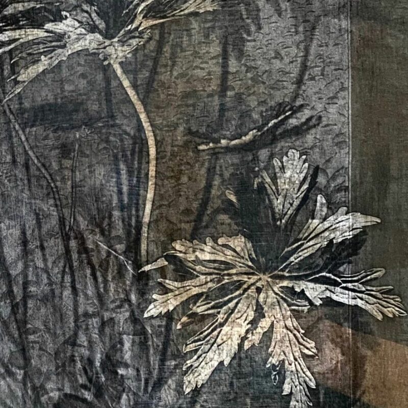 Galerie Images Sophie Zenon