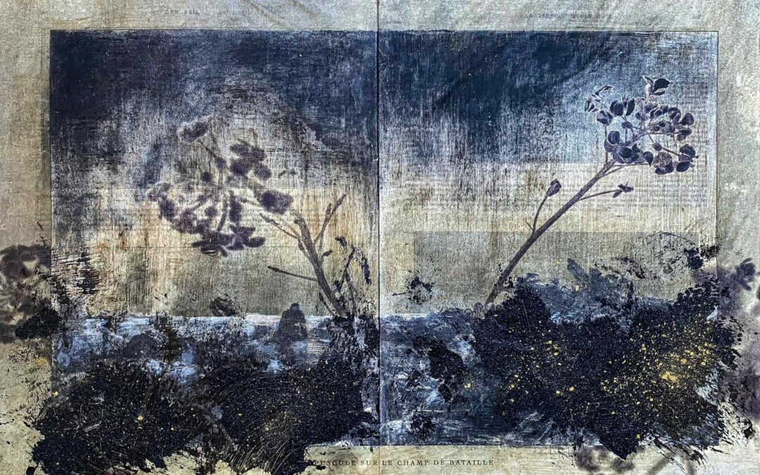 L&rsquo;herbe aux yeux bleus