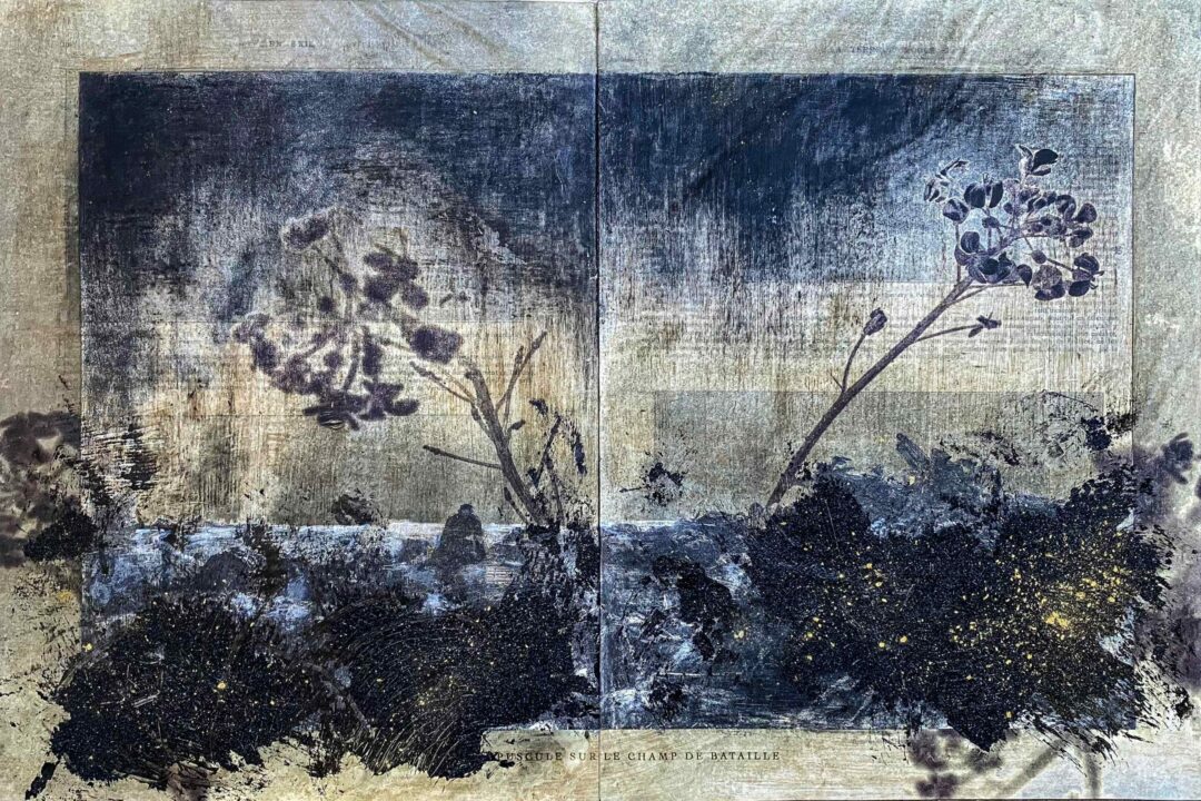 L&rsquo;herbe aux yeux bleus