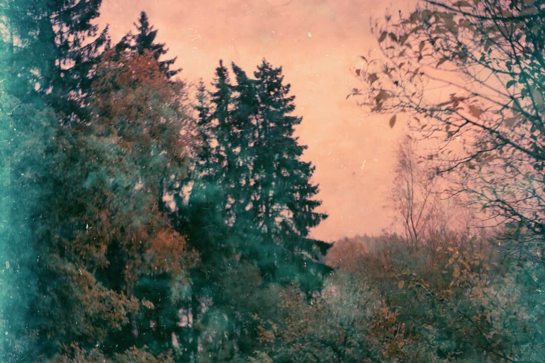 Sur le fil — Reunalla