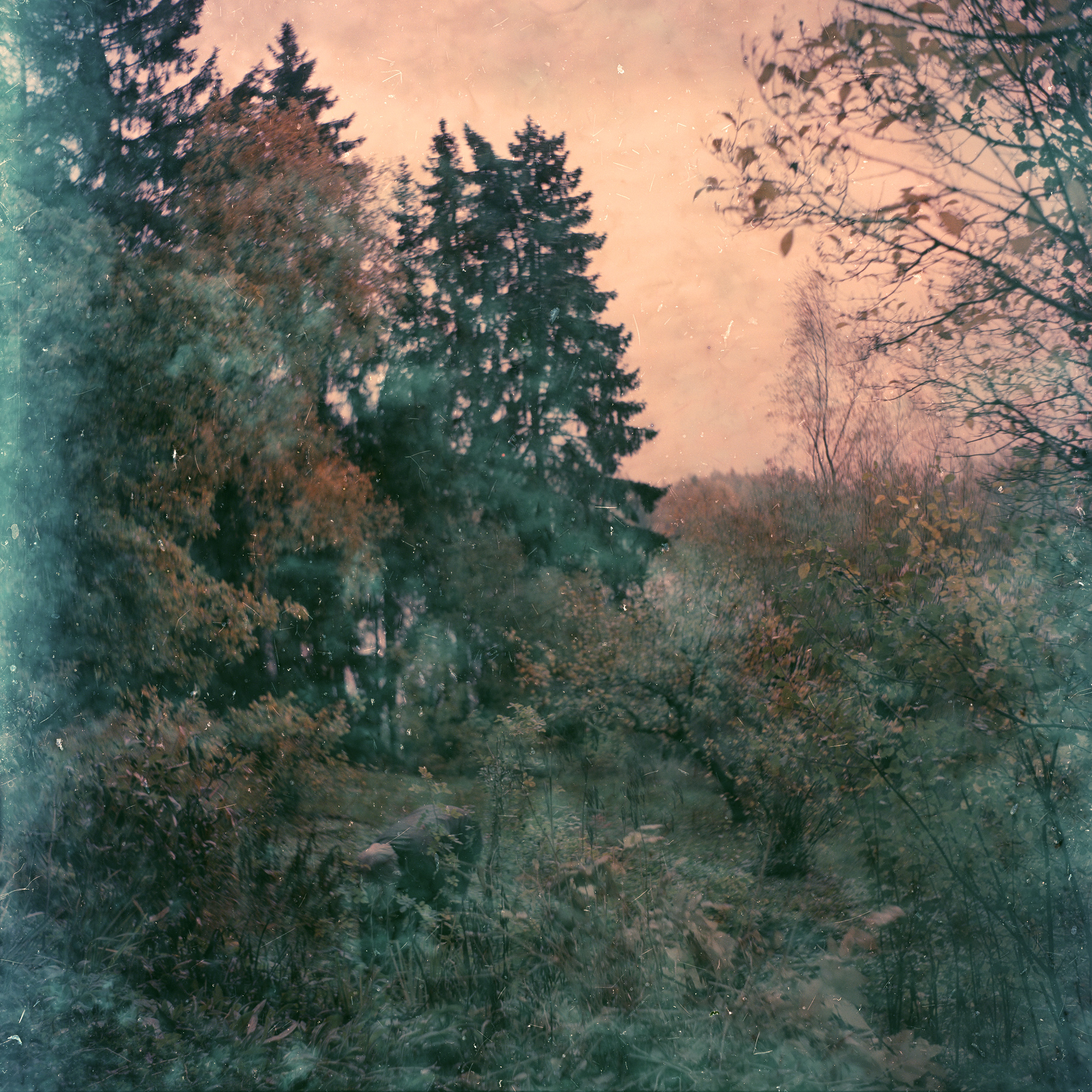 Reflex — Module 1 – Image 4