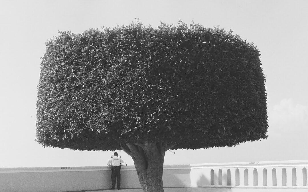 Archifoto — 26